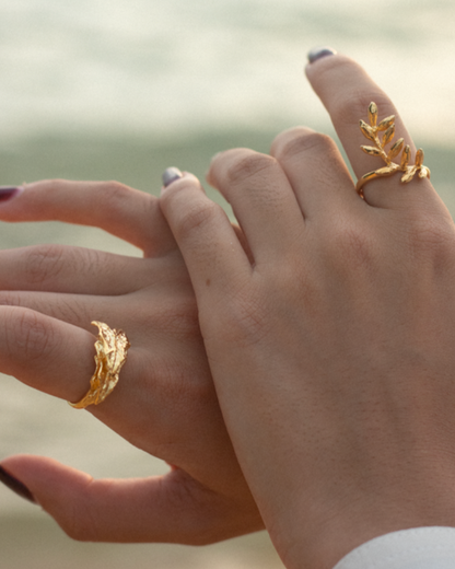 Anvi Ring