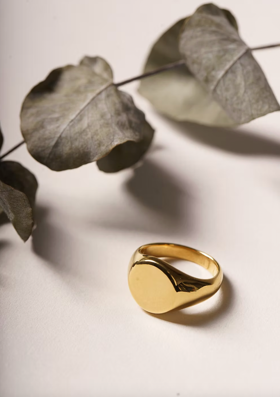 Devi Signet Ring